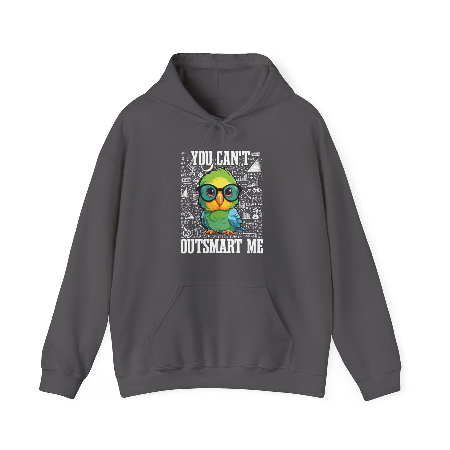 “You Can’t Outsmart Me” Parrot Hoodie – Funny Smart Bird Lover Gift, Intelligent Parrot Apparel, Unique Pet Bird Hoodie