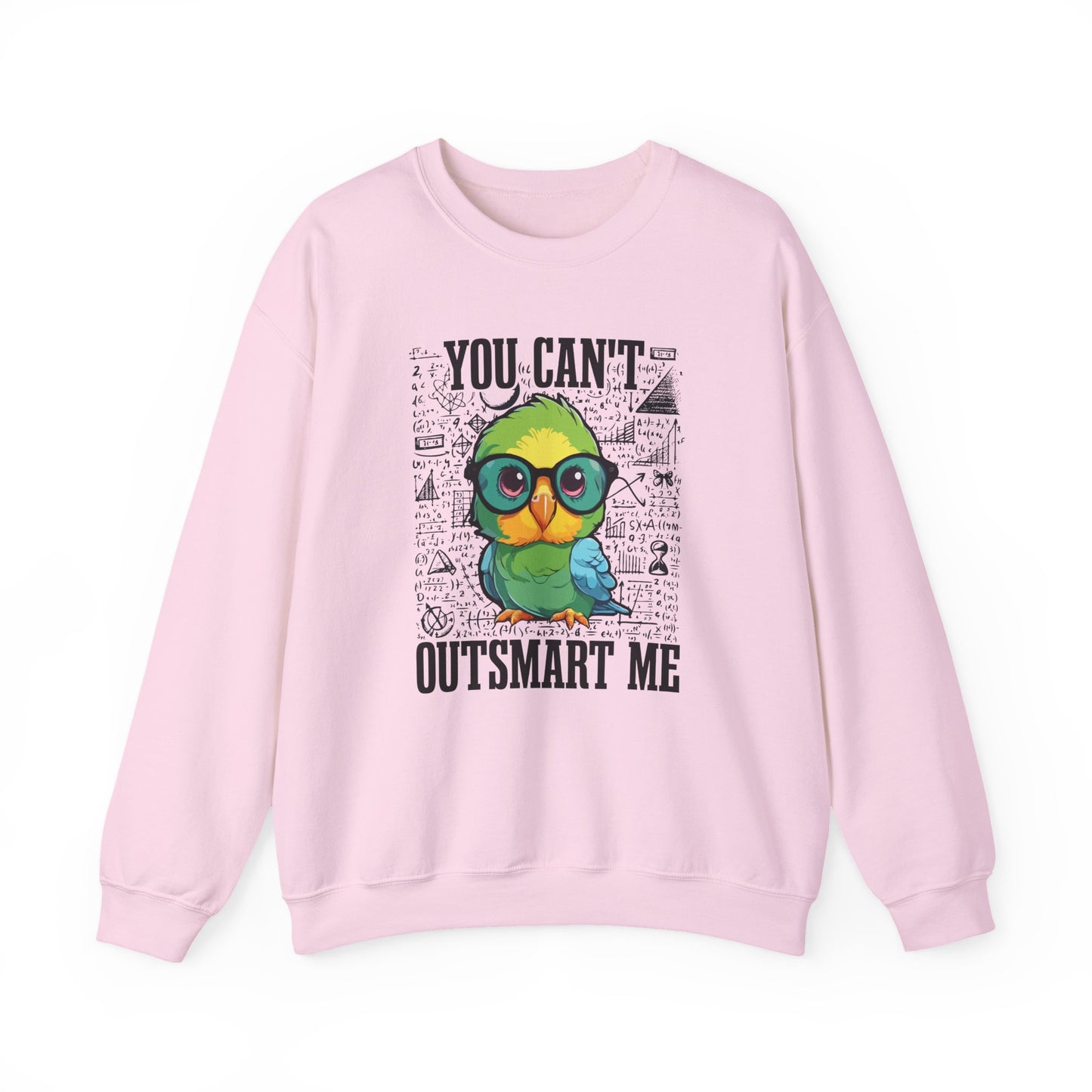 “You Can’t Outsmart Me” Parrot Sweatshirt – Funny Smart Bird Lover Gift, Intelligent Parrot Apparel, Unique Pet Bird Sweater