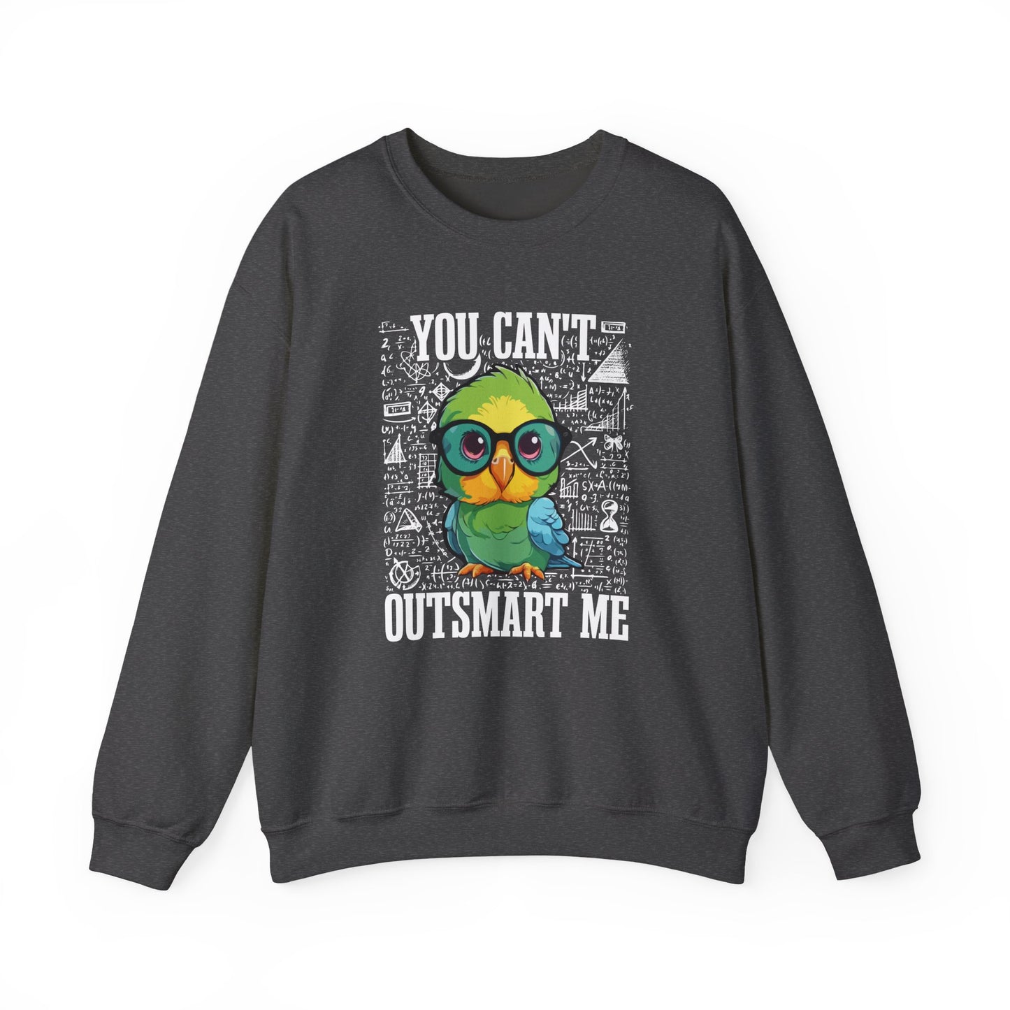 “You Can’t Outsmart Me” Parrot Sweatshirt – Funny Smart Bird Lover Gift, Intelligent Parrot Apparel, Unique Pet Bird Sweater