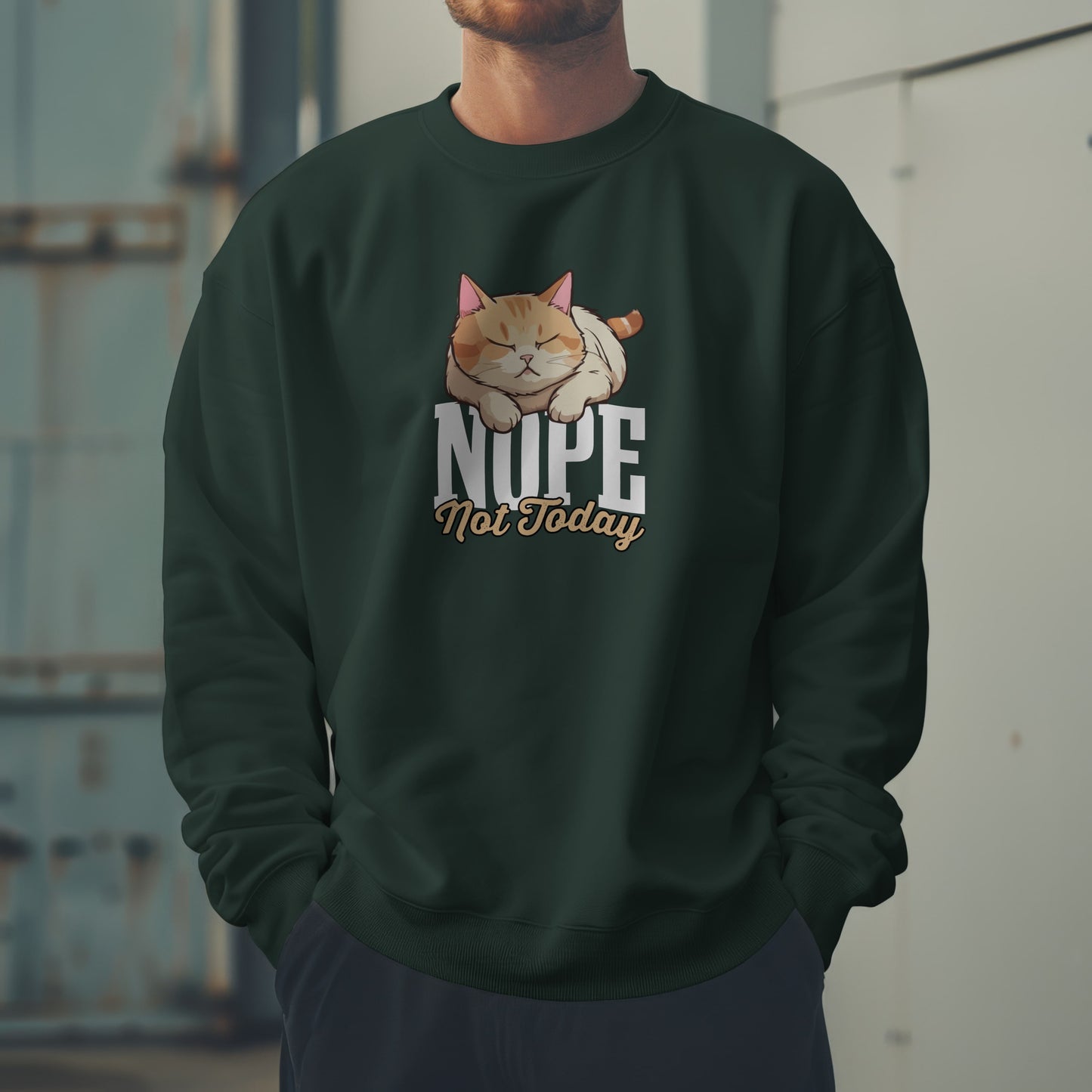 Funny Lazy Cat Sweatshirt – “Nope, Not Today” Quote Pullover for Cat Lovers, Introverts & Nap Queens