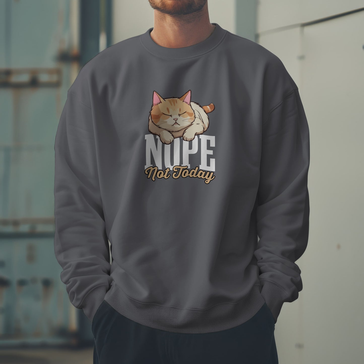 Funny Lazy Cat Sweatshirt – “Nope, Not Today” Quote Pullover for Cat Lovers, Introverts & Nap Queens